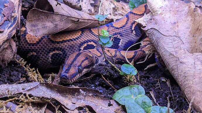 PXL_20230606_005250905