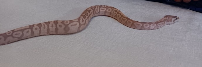 Resized_20250930_214254