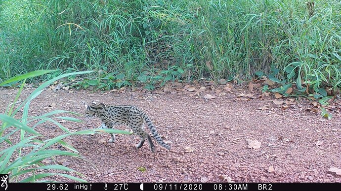 photo_2025-06-15_17-25-25