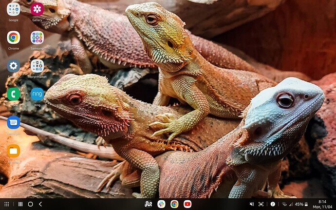 Screenshot_20220411-201411_Samsung DeX home