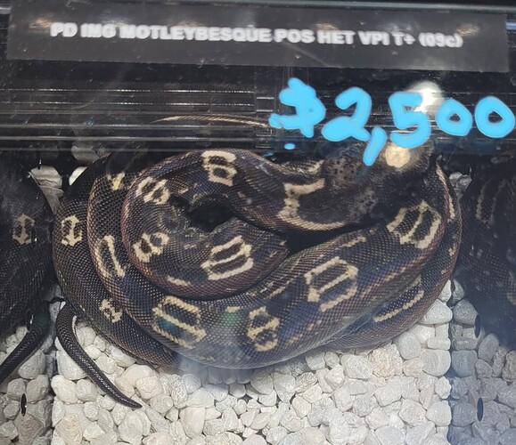 20240316_143339