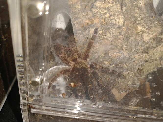 IMG_20250328_151627912