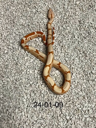 24-01-09sept2024c