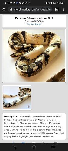 Screenshot_20220224-165348_Chrome