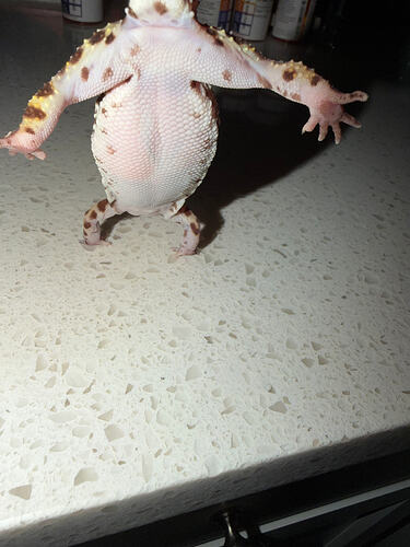 IMG_2370