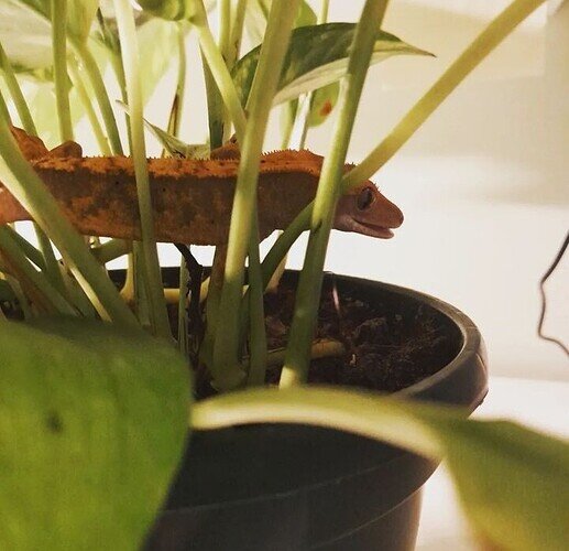 Screenshot_20221124-082651_Instagram