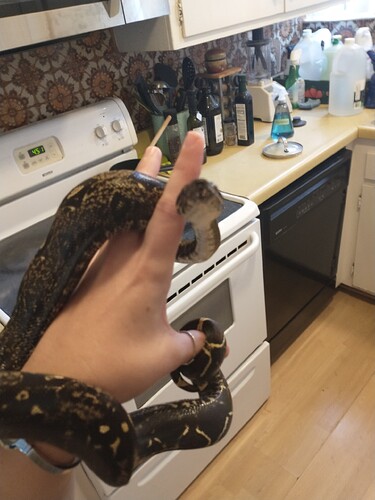 IMG_20241106_162232363