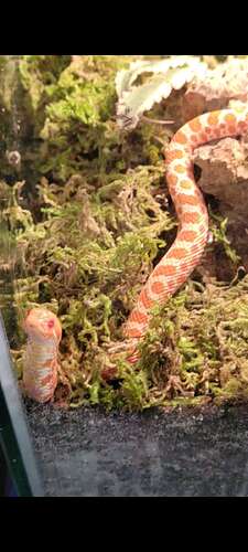 Screenshot_20260228_181956_Gallery