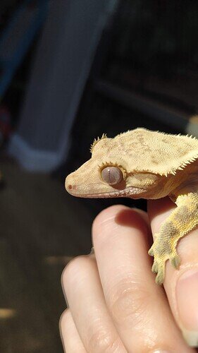 IMG_20220508_080419_1