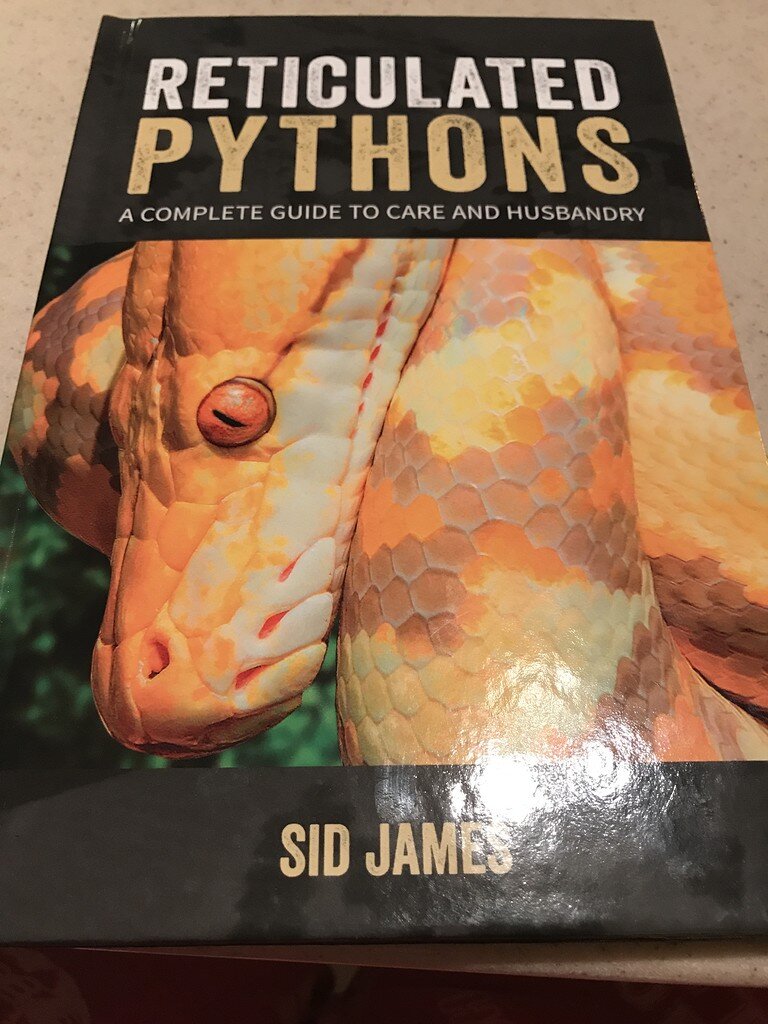 Reticulated Python - Combo Names - Reticulated Pythons