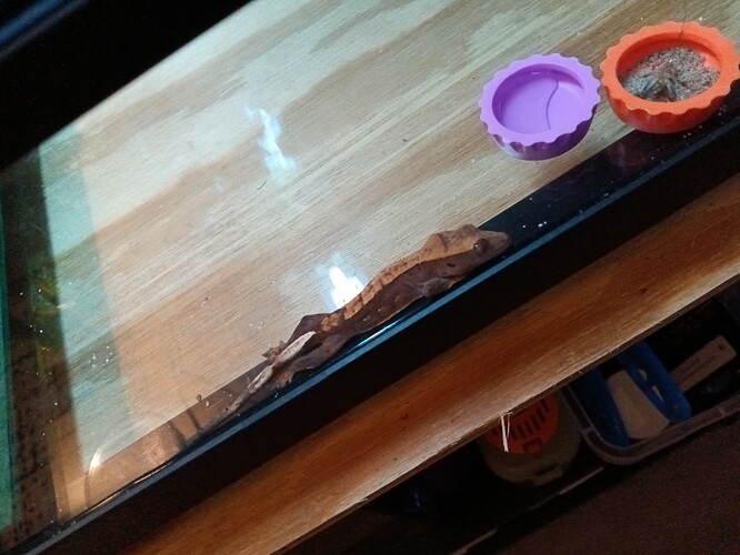 IMG_20250908_174447193