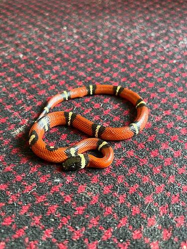 photo_2026-03-11_15-29-23