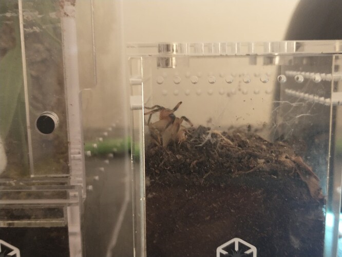 IMG_20250427_141726005