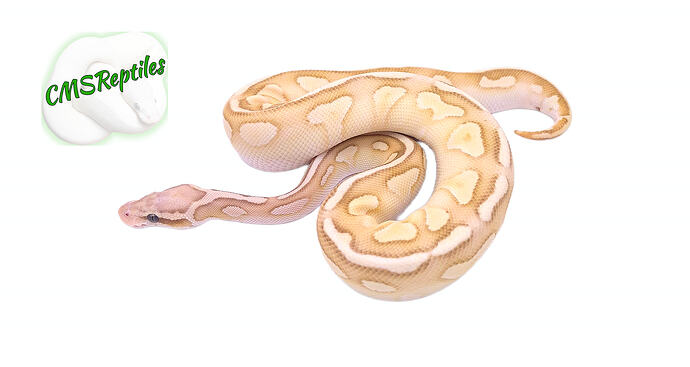 8374