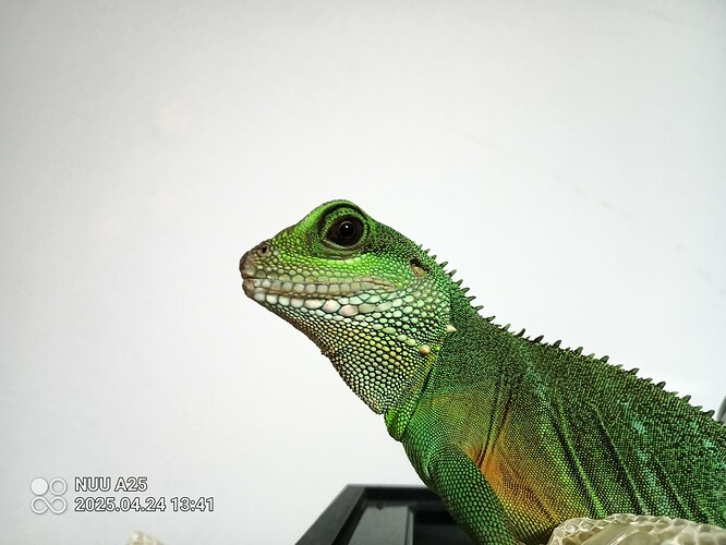IMG_20250424_134145_462
