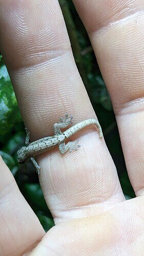 PXL_20230510_184217928