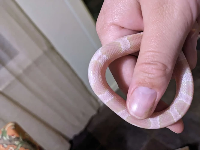 PXL_20251016_030355228