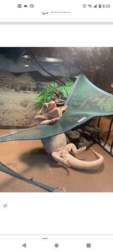 Screenshot_20220509-203351