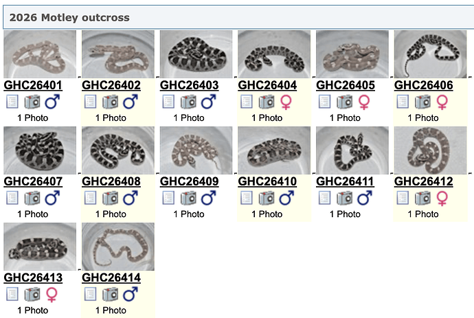 Screenshot 2026-07-28 at 5.26.06 PM