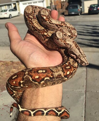 47ccd01b15be9ea1fb4da9347b86b79c