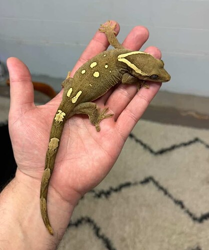 Screen Shot 2026-01-27 at 9.43.13 AM