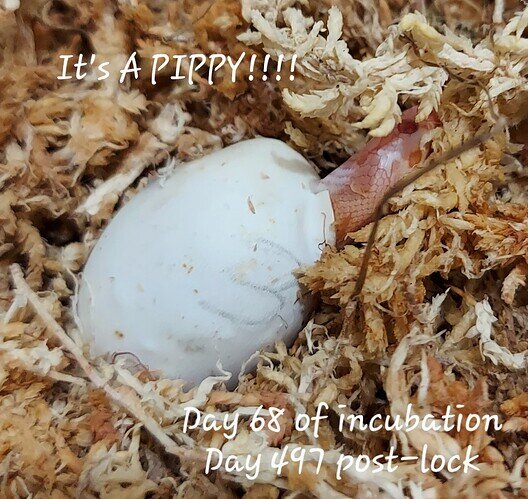 20220808_195837
