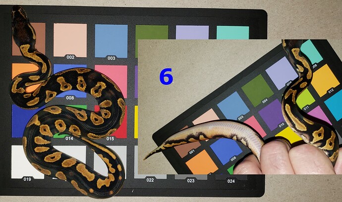 6-5
