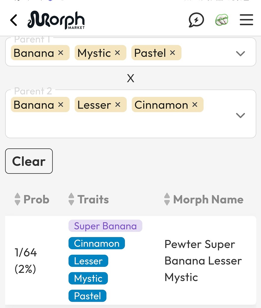 Mysterious 4 gene combo? (Answered) - Ball Pythons - MorphMarket ...