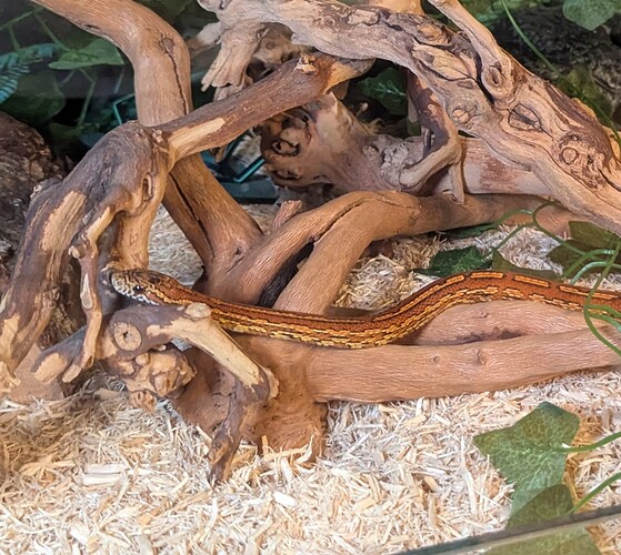 PXL_20250912_235612170 (1)