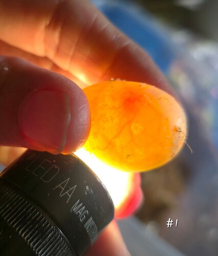 20260607_140514