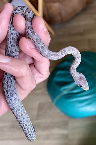 IMG_1685