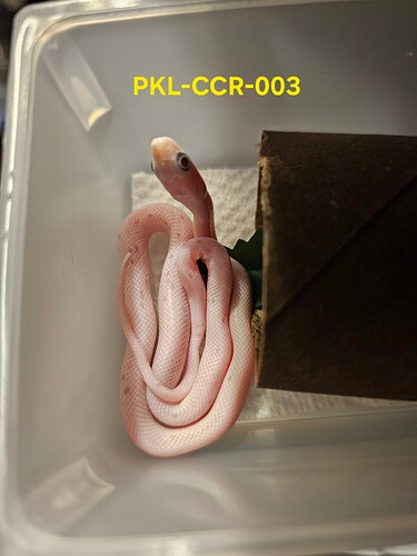 20260518_075341