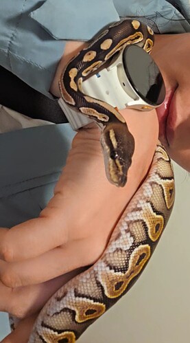 Snapchat-810386302(1)