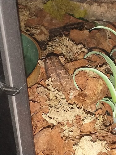 IMG_20241214_103655974