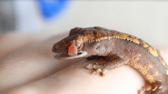 Screenshot 2022-07-26 6.05.30 PM