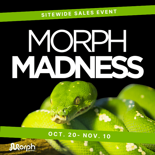MorphMadness (1080 x 1080 px)