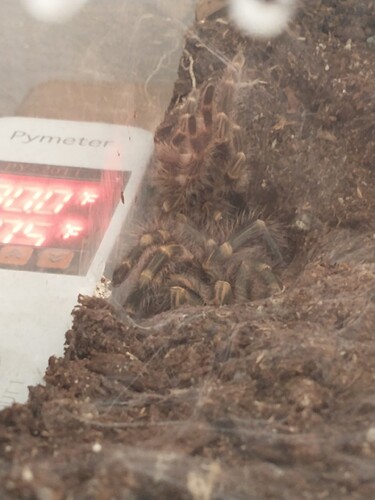 IMG_20250408_150213028