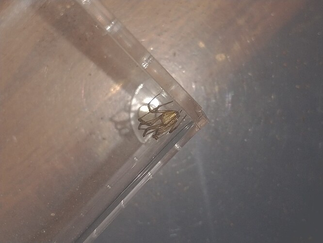 IMG_20251030_183653635