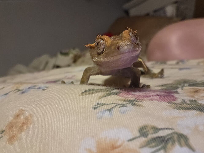 8493