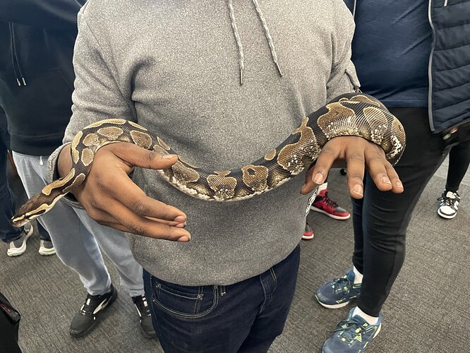 FCFF6BE8-420C-43D5-B364-2CA0D2BA4D28_1_105_c