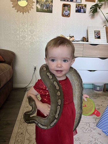 Here is the Dam, acting as a feather boa