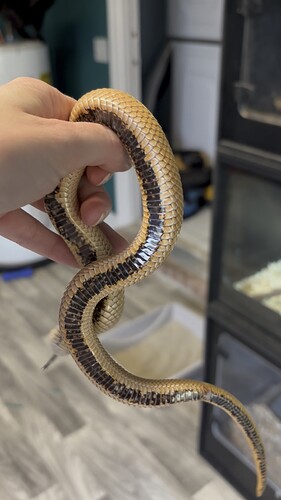 exported_0420E6A2-1610-49E8-9603-C11798CB9DA9