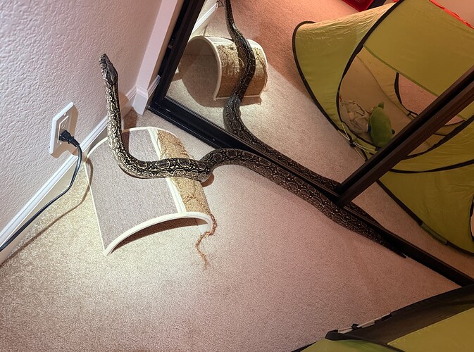 Screenshot 2026-04-15 at 11.24.13 AM