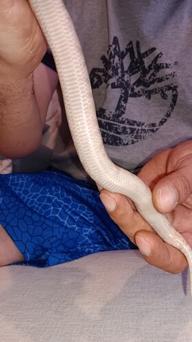 Resized_20250930_214417