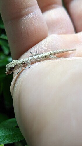 PXL_20230510_184359184