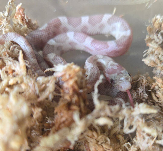 20260724_162343