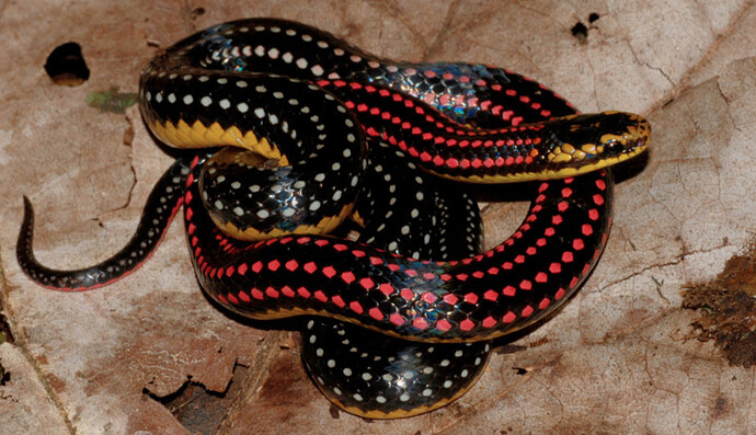 WhatsApp Image 2025-11-24 at 11.08.55_42740343