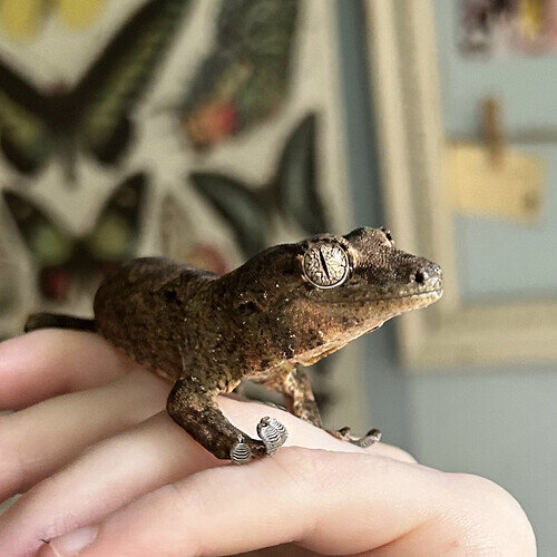 42377A45-336C-4895-BD7F-28590E191B9F_1_201_a