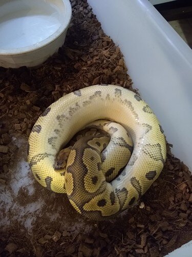 IMG_20210519_105136403