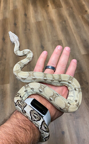 IMG_9139
